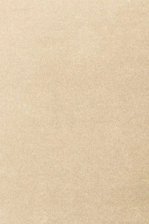 Ковровое покрытие AW Oinone 34 - (4м) в Ижевске