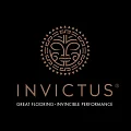 ПВХ плитка Invictus купить в Ижевске по выгодной цене ПВХ плитка Invictus в Ижевске
