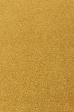 Ковровое покрытие AW Oinone 54 - (5м) в Ижевске