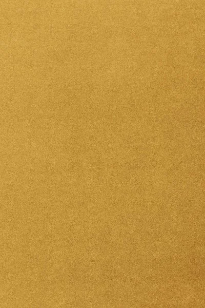 Ковровое покрытие AW Oinone 54 - (5м) в Ижевске