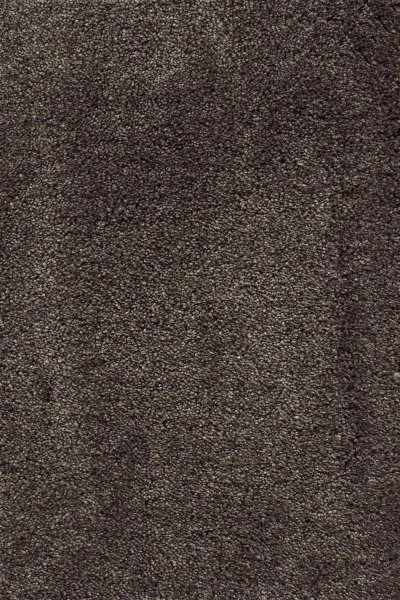 Ковровое покрытие AW Fedone 44 - (5м) в Ижевске