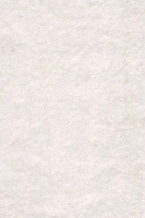 Ковровое покрытие AW Euphoria 03 - (4м) в Ижевске