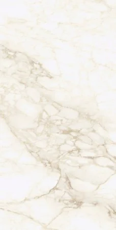 Керамогранит Coliseum Микеланджело Ворм 60х120 (Натуральный и Реттифицированный) в Ижевске