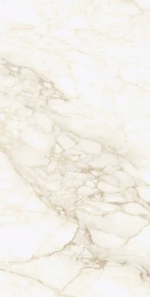 Керамогранит Coliseum Микеланджело Ворм 60х120 (Натуральный и Реттифицированный) в Ижевске