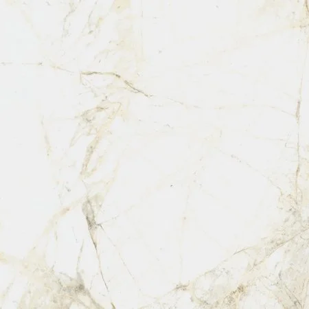 Керамогранит Coliseum Канова Уайт 60х60 (Натуральный и Реттифицированный) в Ижевске