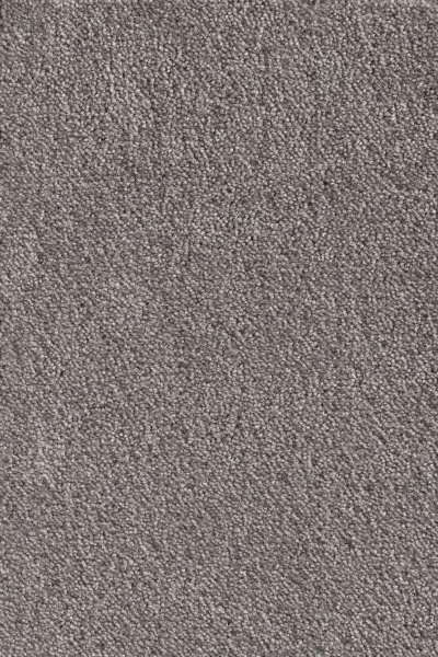 Ковровое покрытие AW Messalina 49 - (5м) в Ижевске