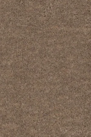 Ковровое покрытие AW Euphoria 36 - (4м) в Ижевске