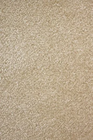 Ковровое покрытие AW Euphoria 33 - (5м) в Ижевске