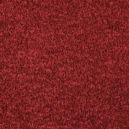 Ковровое покрытие AW Kiama 11 - (5м) в Ижевске