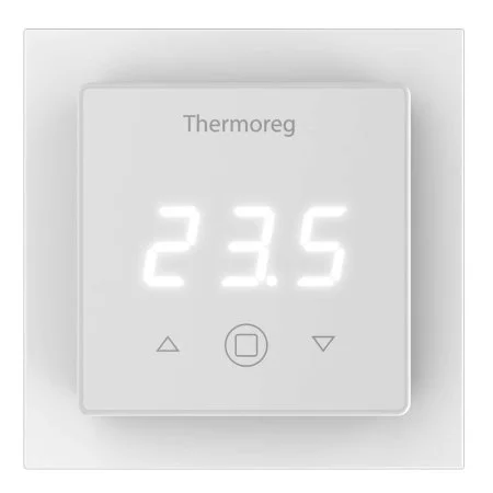Терморегулятор Thermoreg TI-300 в Ижевске