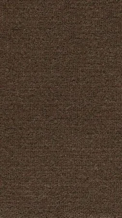 Ковровое покрытие AW Mezza 44 - (4м) в Ижевске