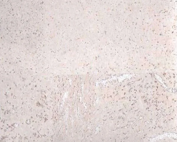 Настенное пробковое покрытие CorkArt PW 386 WS в Ижевске