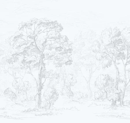 Обои Loymina Etude ETD9, 011 в Ижевске