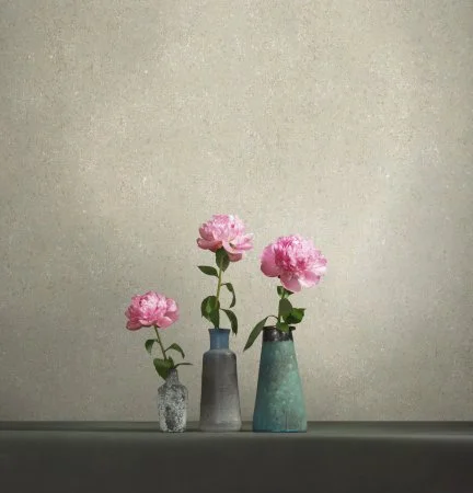 Обои Loymina Terra TER3 005 в Ижевске