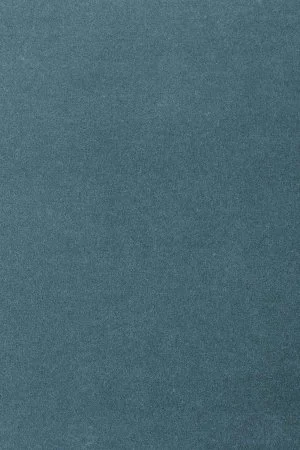 Ковровое покрытие AW Oinone 74 - (5м) в Ижевске