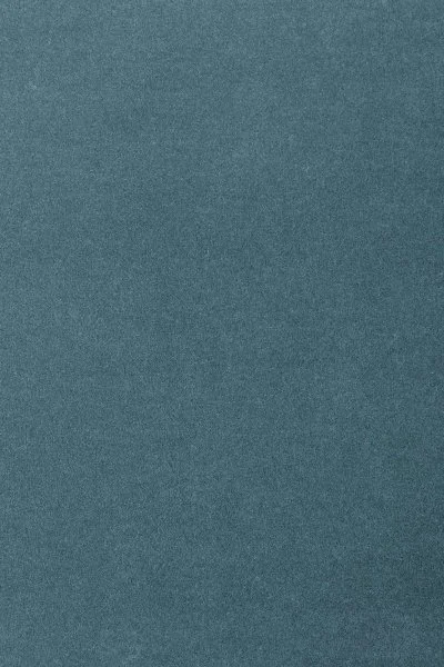 Ковровое покрытие AW Oinone 74 - (5м) в Ижевске