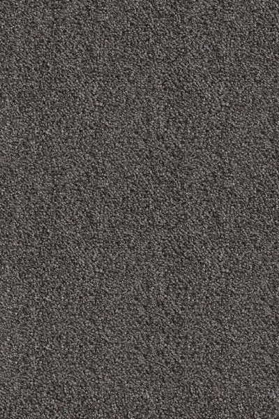 Ковровое покрытие AW Messalina 99 - (5м) в Ижевске