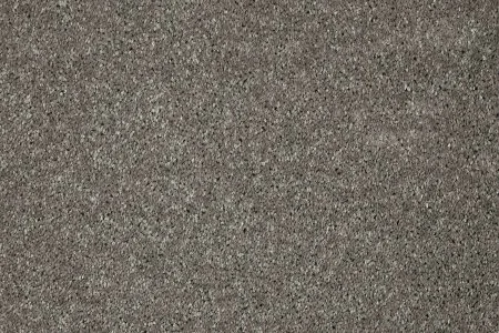 Ковровое покрытие AW Gala 94 - (5м) в Ижевске