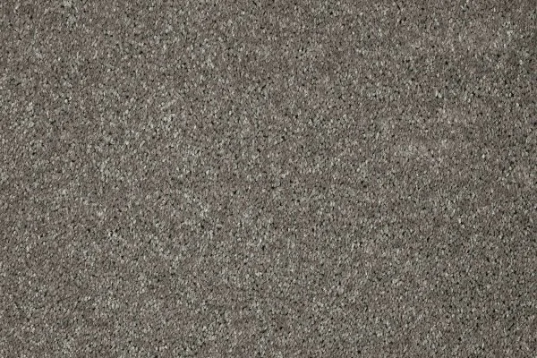 Ковровое покрытие AW Gala 94 - (5м) в Ижевске