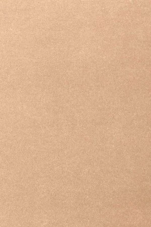 Ковровое покрытие AW Oinone 08 - (4м) в Ижевске