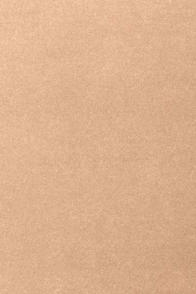 Ковровое покрытие AW Oinone 08 - (4м) в Ижевске