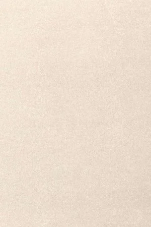 Ковровое покрытие AW Oinone 03 - (5м) в Ижевске