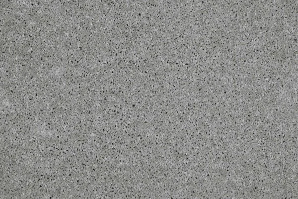 Ковровое покрытие AW Gala 90 - (4м) в Ижевске