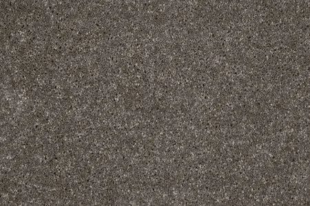 Ковровое покрытие AW Gala 49 - (4м) в Ижевске