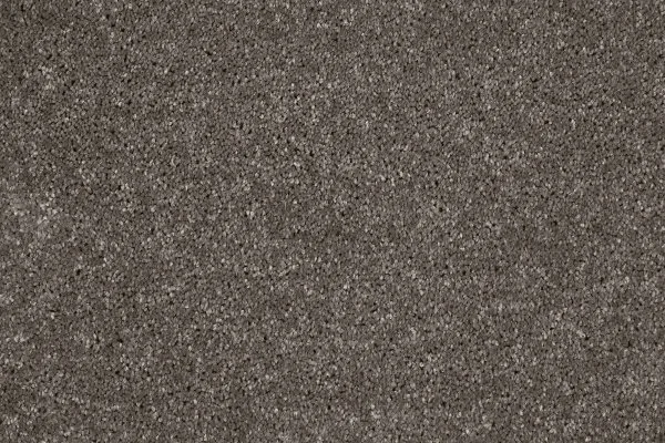 Ковровое покрытие AW Gala 49 - (4м) в Ижевске