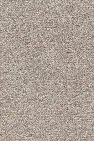 Ковровое покрытие AW Stainguard Harvest 04 - (4м) в Ижевске