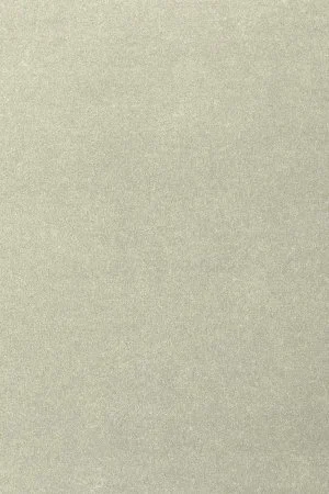 Ковровое покрытие AW Oinone 02 - (5м) в Ижевске