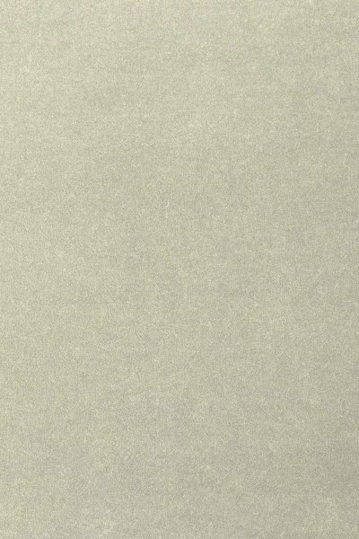 Ковровое покрытие AW Oinone 02 - (4м) в Ижевске