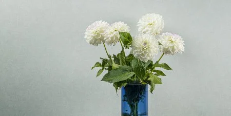 Обои Loymina Shade vol.2 SDR5, 001 в Ижевске