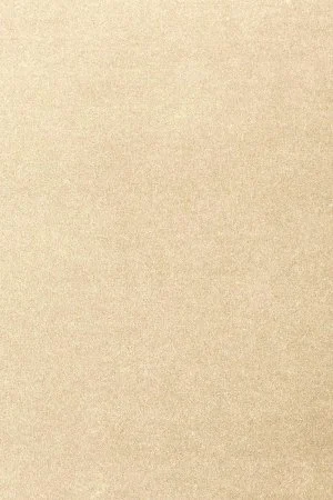 Ковровое покрытие AW Oinone 33 - (4м) в Ижевске