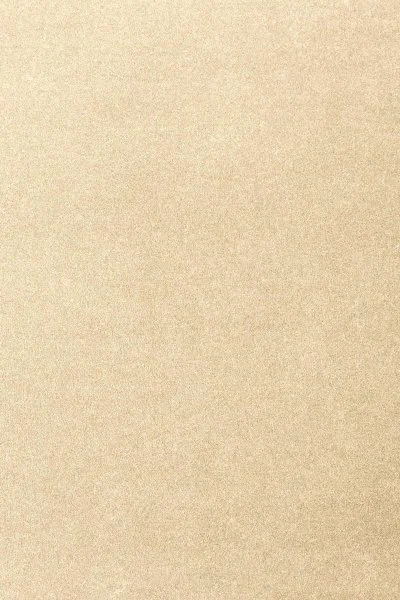 Ковровое покрытие AW Oinone 33 - (4м) в Ижевске