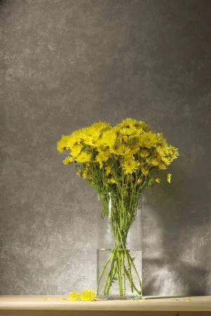 Обои Loymina Golden Library TDG 7, 008 в Ижевске