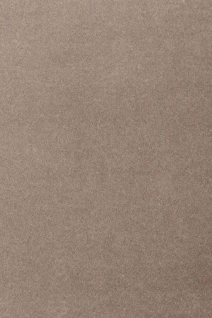 Ковровое покрытие AW Oinone 49 - (4м) в Ижевске