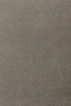 Ковровое покрытие AW Oinone 95 - (4м) в Ижевске