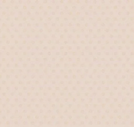 Обои Loymina Golden Library Q11, 002/1 в Ижевске