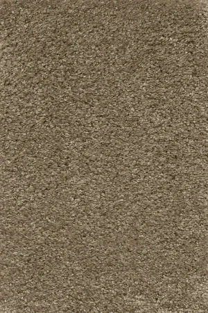 Ковровое покрытие AW Certosa 35 - (5м) в Ижевске