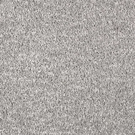 Ковровое покрытие AW Kiama 97 - (5м) в Ижевске