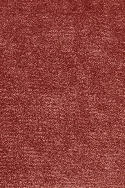 Ковровое покрытие AW Omphale 10 - (5м) в Ижевске