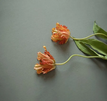 Обои Loymina Russian Classic Ru10, 006 в Ижевске