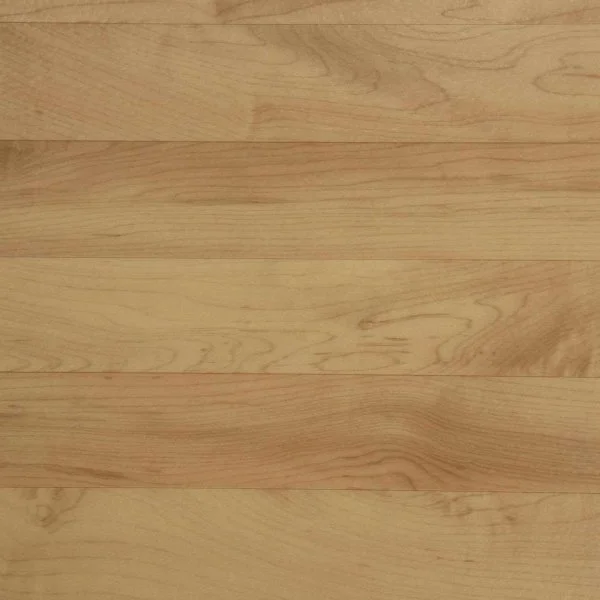 Спортивный линолеум Tarkett Omnisports Action 65 Cold Beech в Ижевске