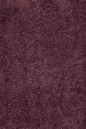 Ковровое покрытие AW Fedone 19 - (5м) в Ижевске