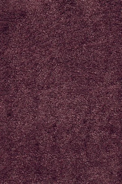 Ковровое покрытие AW Fedone 19 - (5м) в Ижевске