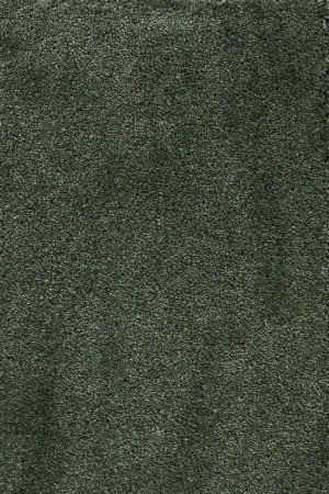 Ковровое покрытие AW Fedone 24 - (5м) в Ижевске