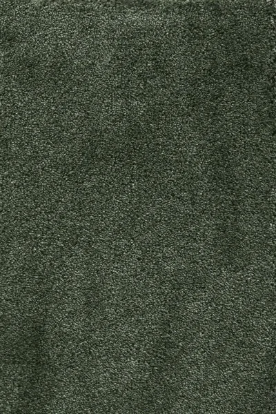 Ковровое покрытие AW Fedone 24 - (5м) в Ижевске