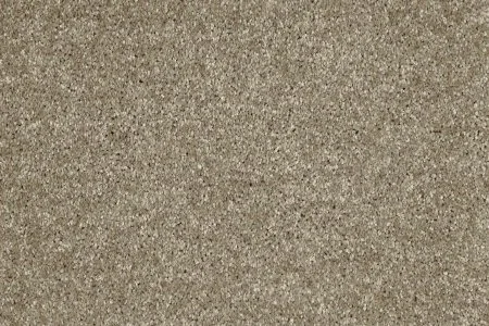 Ковровое покрытие AW Gala 33 - (4м) в Ижевске