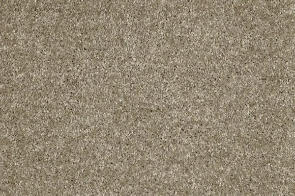 Ковровое покрытие AW Gala 33 - (4м) в Ижевске